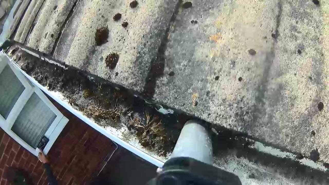 Gutter Cleaning