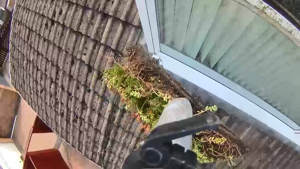 Before: moss and debris in the gutter