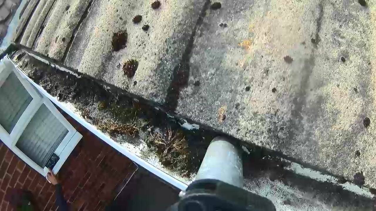 Before: gutter with moss buildup
