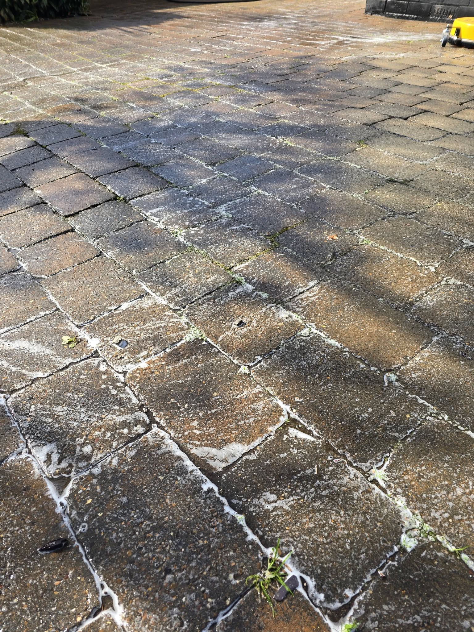 Before: driveway with moss and algae