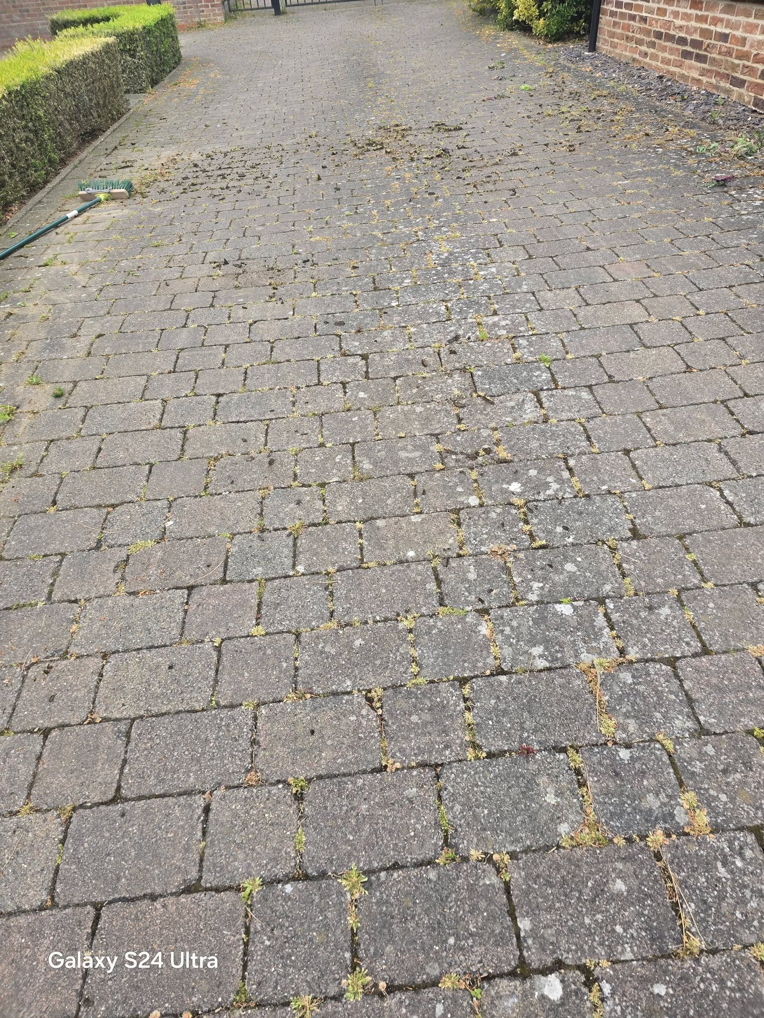 Driveway in need of a deep clean